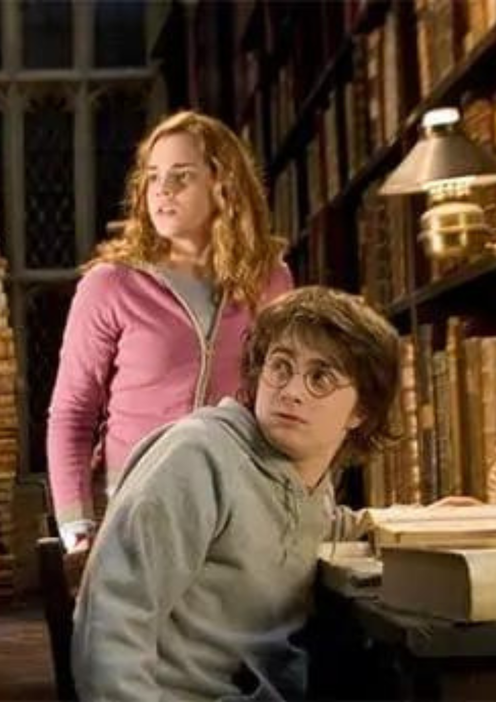 Biblioteca Harry Potter