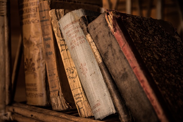 Viaggio nel mondo del libro